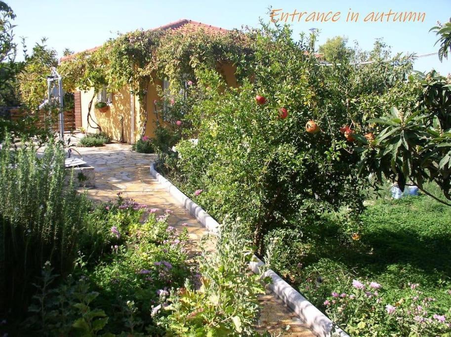 Adonino Residence-The House Of Pomegranates Lakithra Exterior photo
